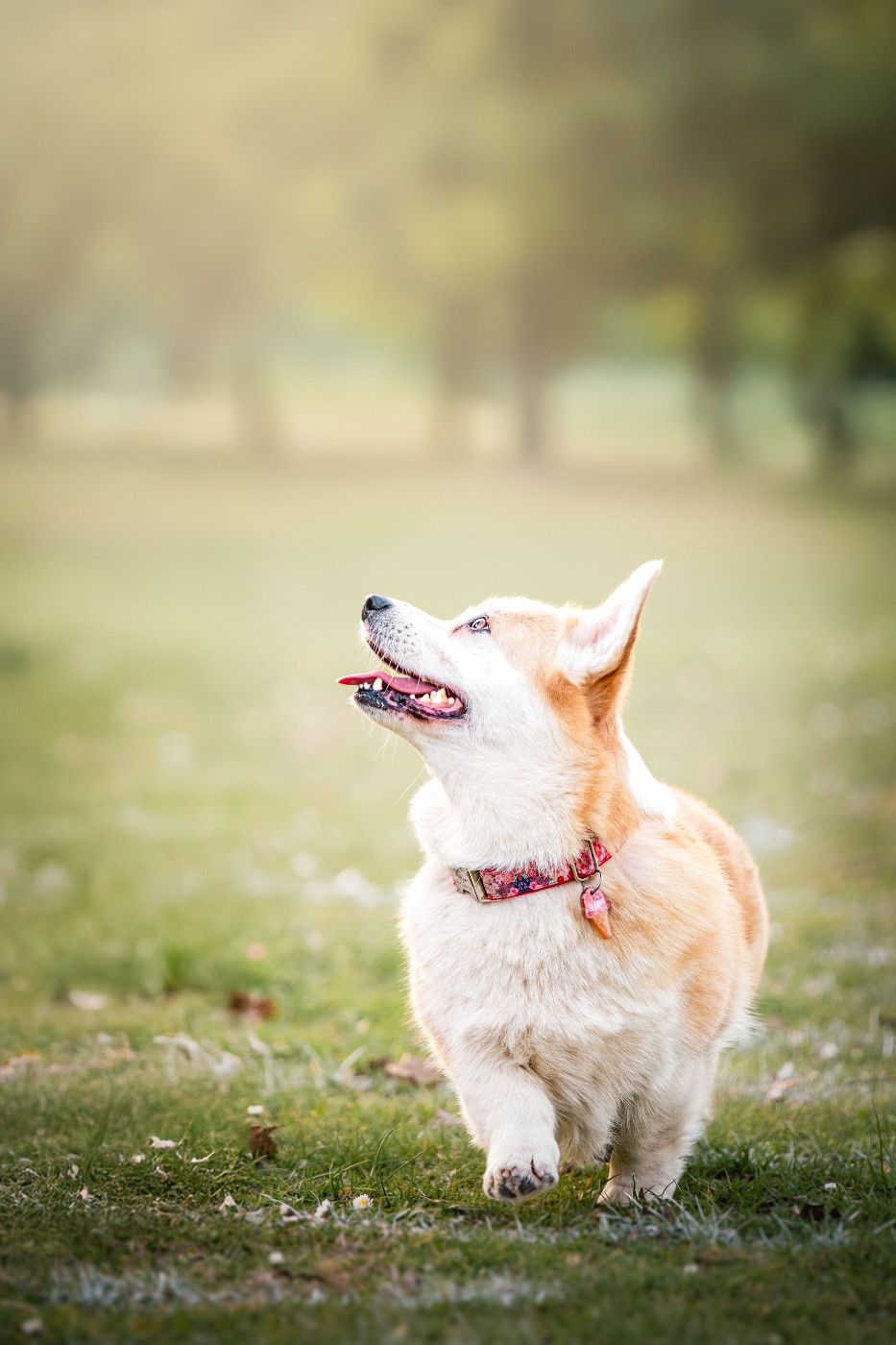 Aenor's Rasta la vista